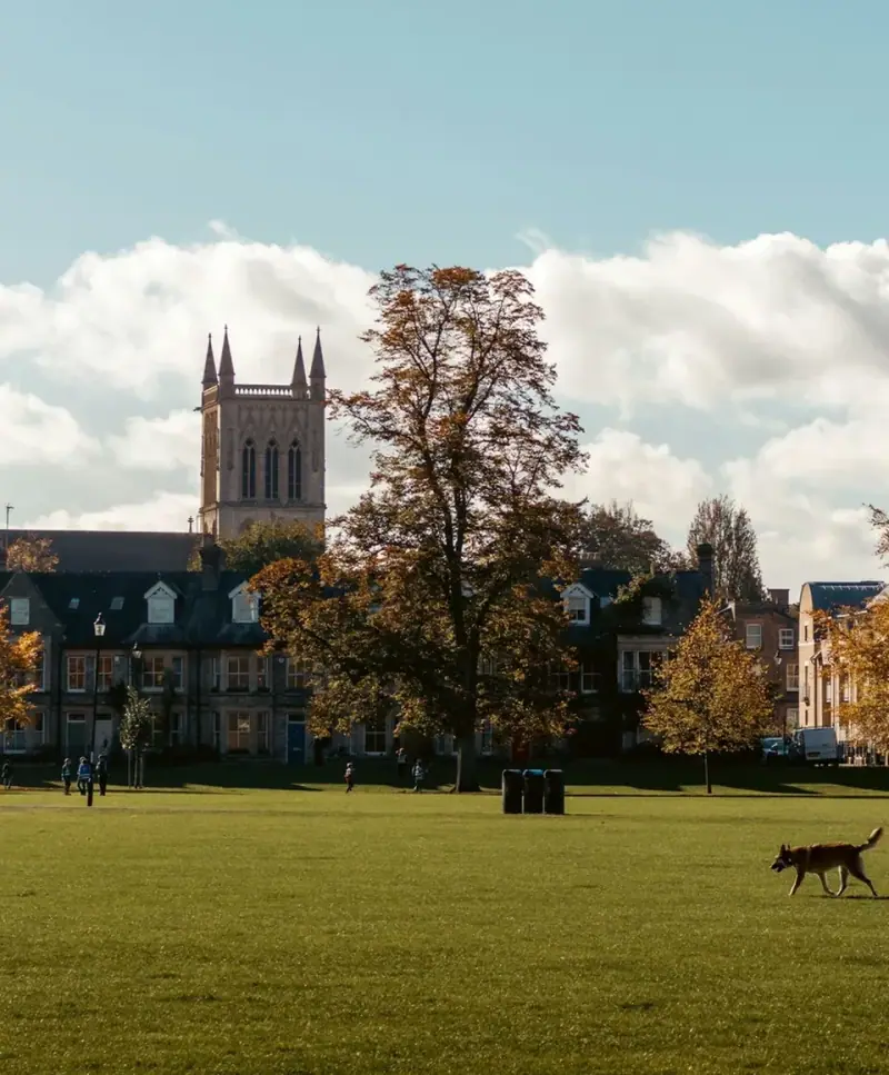 Historic university campus on a sunny autumn day