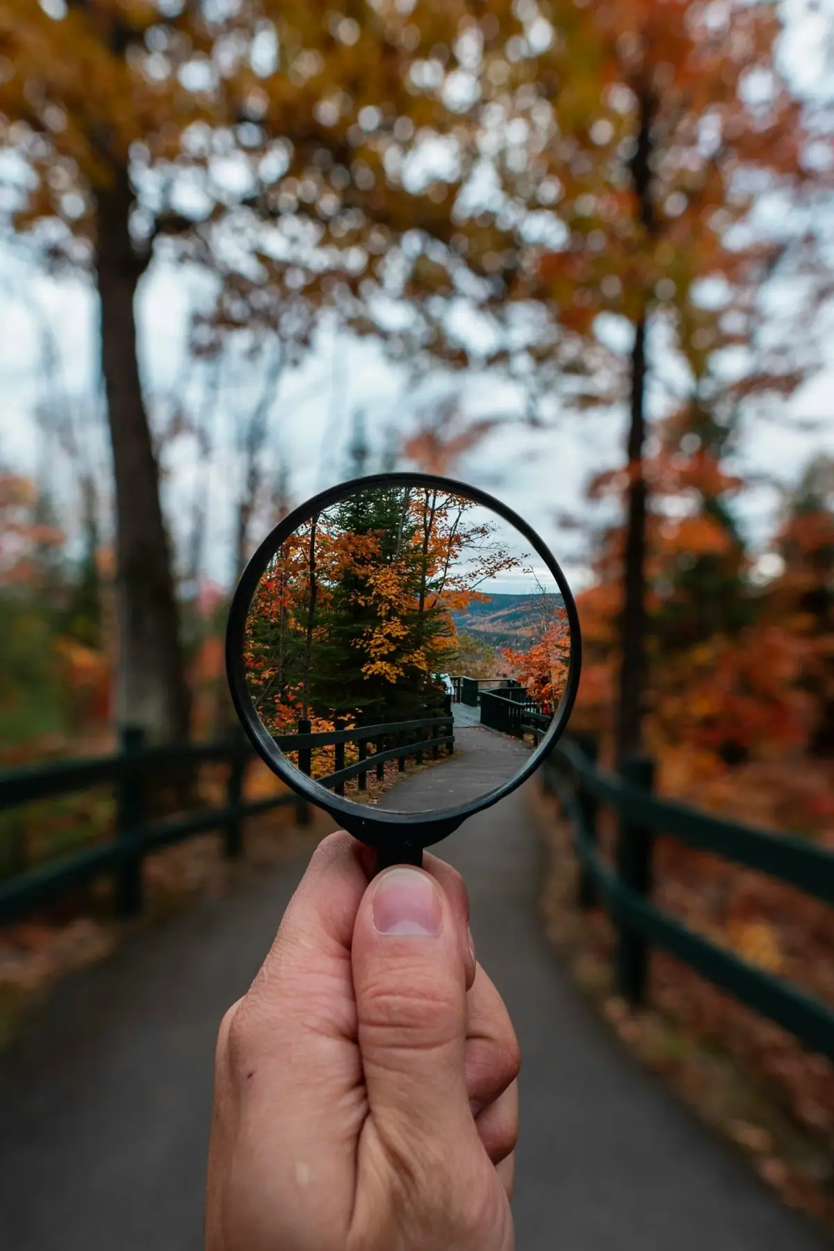 A person holding a magnifying glass in front of a nature trail surrounded by trees with autumn-colored leaves.