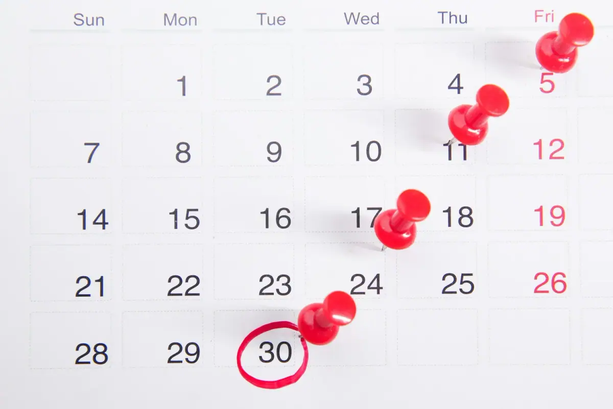 A monthly calendar with red push pins marking the 5th, 11th, 17th, 24th, and 30th days of the month.